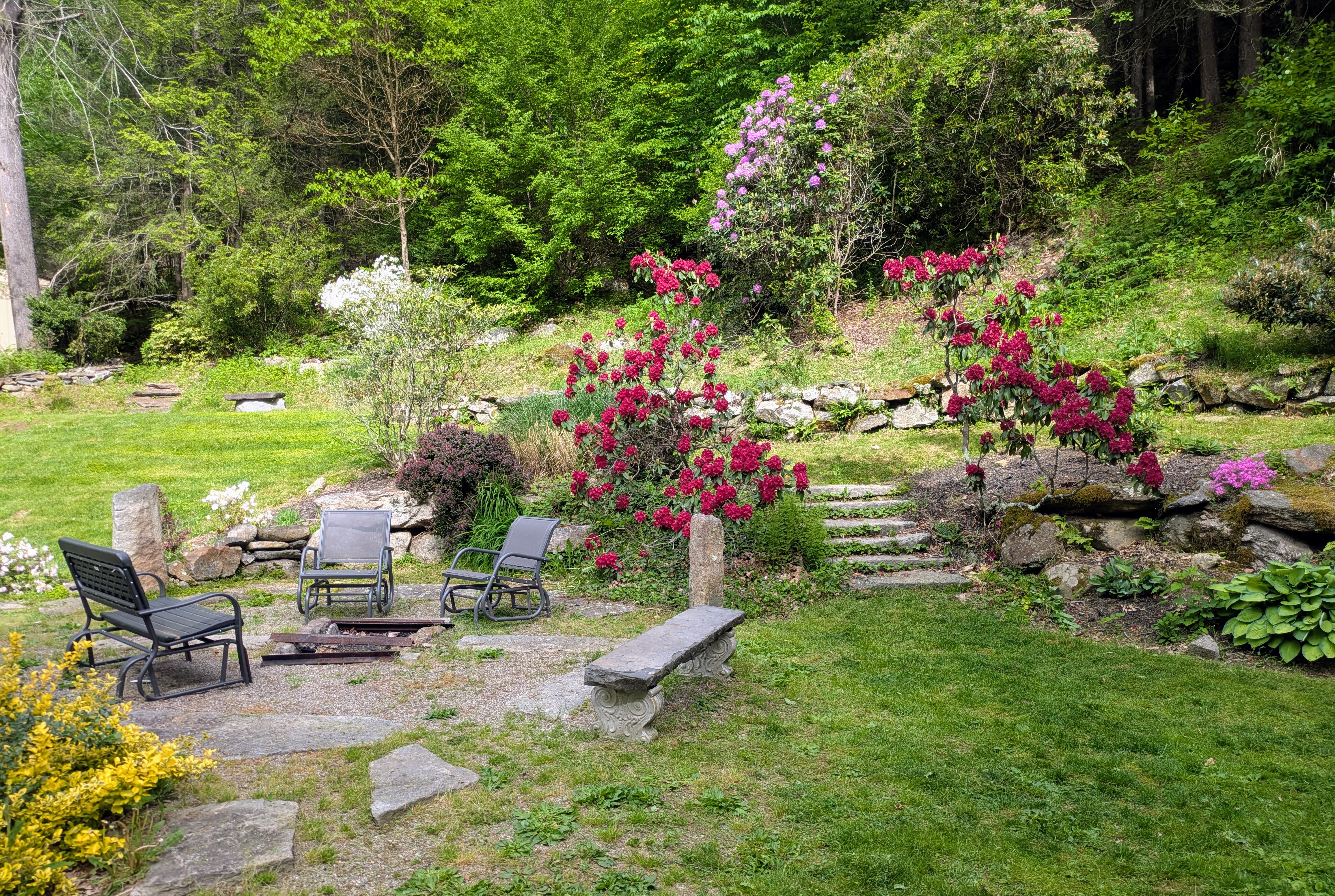 Fire pit in the wooded backyard